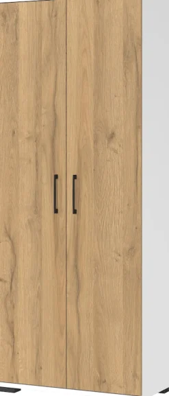 Aktenschrank 4250-559 GW-Profi, in , mit Metallgriffen, 80 x 200 x 40 cm (BxHxT) ^ Germania Discount