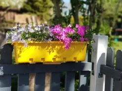 GREENLIFE Blumenkasten / Kräuterbox 10 Stück, anthrazit, komplett Discount