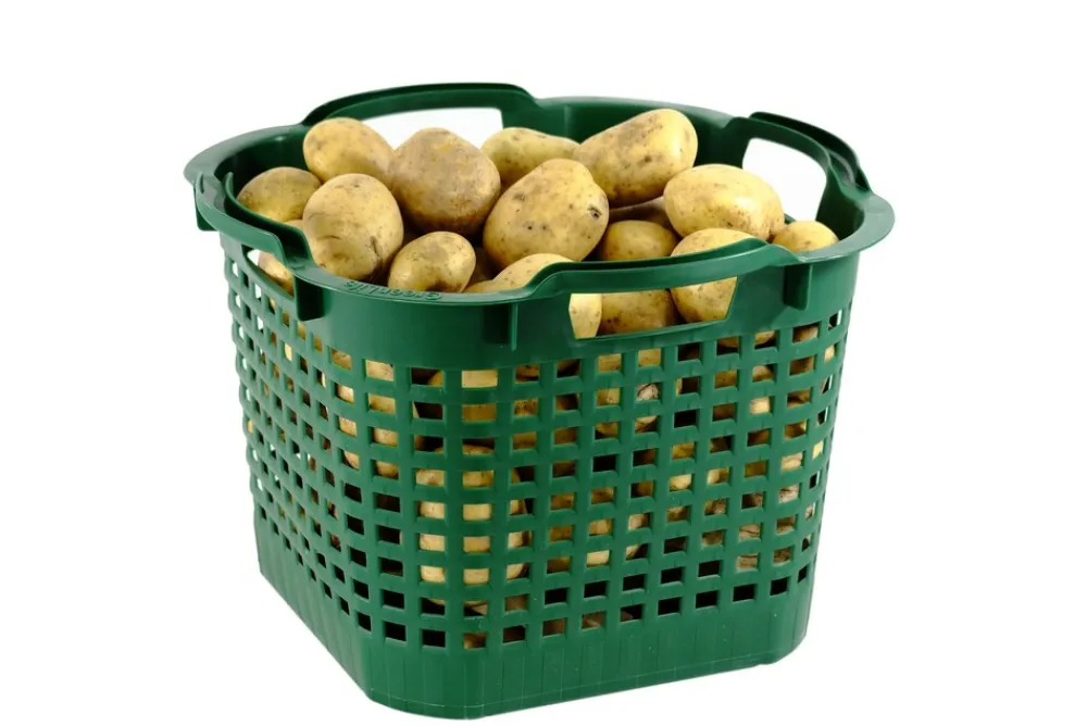 Uni-Korb 25 kg, 10 Stück, drehstapelbar, grün ^ GREENLIFE