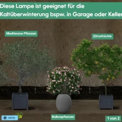 GrowLight Quattro - LED Pflanzenlampe 60W, Anzuchtlampe LED Pflanzenlampe Vollspektrum, Überwinterung Venso Ecosolutions Pflanzen Licht, Pflanzenlampe Anzucht, Pflanzenlicht LED ^ Parus by Venso Hot