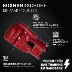 Box-Set "Fit", 60 cm ^ Hammer Sale