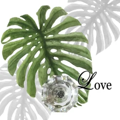 Wandhaken Leaf ^ HTI-Line New