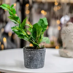 HTI-Living Grünpflanze im Topf Kunstpflanze Flora Best