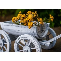 HTI-Living Holzhandwagen Weiß Rustikal Sommerset