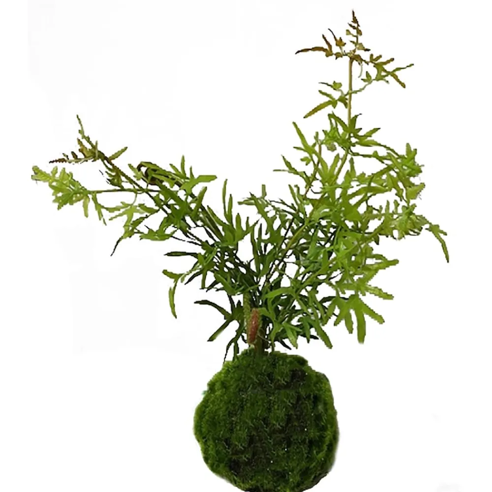 Kunstpflanze Farn-Busch Flora ^ HTI-Living Outlet