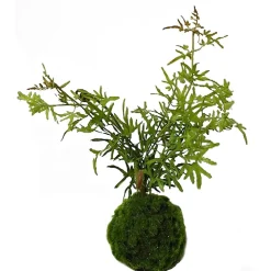 Kunstpflanze Farn-Busch Flora ^ HTI-Living Outlet