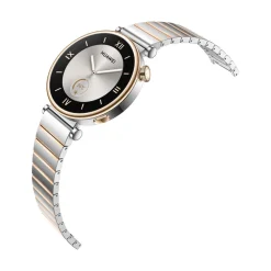 Watch GT4 41mm (Aurora-B19T), steel ^ Huawei