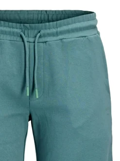 Jack & Jones Junior Hose GORDON COLLEGE Shorts blau
