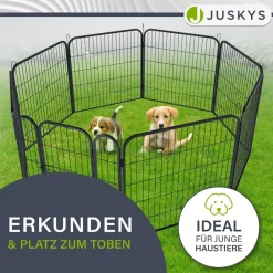 Juskys Welpenauslauf Plus 160x160x80 cm, 8-teilig aus Metall mit Tür für Hunde, Hasen & Kleintiere Best
