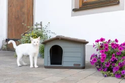 Kerbl Katzenhaus Paola Eco (auch geeignet für kleine Hunde, 60 x 51 x 41 cm) Online
