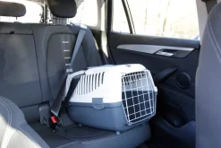Transportbox Gulliver Box für Katzen / Kleintiere, mit Metalltür ^ Kerbl Online