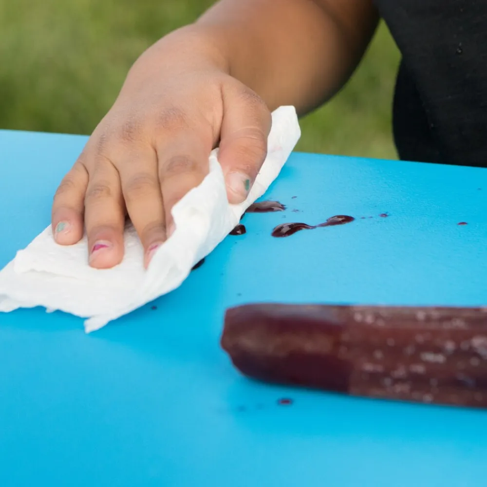 Kunststoff Kinder Picknickgarnitur versch. Ausführungen ^ Lifetime Hot