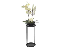 Möbel direkt online Blumenständer Iris XL schwarz Hot
