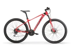 Mountainbike 29 Zoll  QUARX ^ MBM Clearance