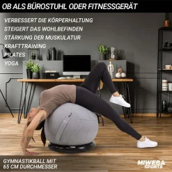 4in1-Gymnastikball-Set, Sitzball, 65 cm, Ballschale, Pumpe, Bezug, Schlingentrainer ^ Miweba Sports New