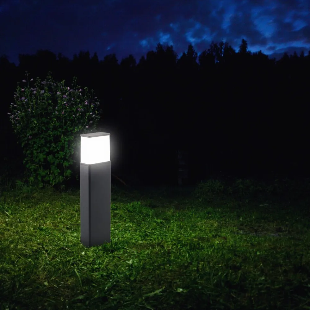 Näve LED Außen-/Sockelleuchte "VIGO" H: 50cm anthrazit Online