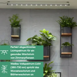 Wall Spot 120cm, Abstrahlwinkel 45°, LED Wachstumslampe, Grow Light für Zimmerpflanzen und Grünpflanzen, Fassaden- und Wandbegrünung ^ Parus by Venso Discount