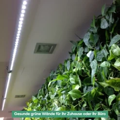 Wall Spot 120cm, Abstrahlwinkel 120°, LED Wachstumslampe, Grow Light für Zimmerpflanzen und Grünpflanzen, Fassaden- und Wandbegrünung ^ Parus by Venso Online