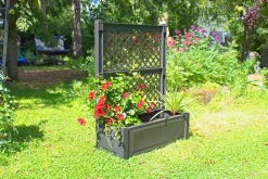 KHW Pflanzkasten groß mit Spalier 100 cm, Anthrazit Clearance
