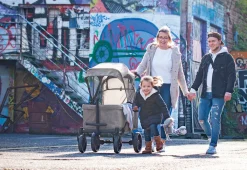 Pinolino Klappbollerwagen Cruiser PI 500 – grau Hot