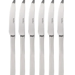 Pintinox Steakmesser Haushaltsmesser Brötchenmesser Millenium 6tlg Discount