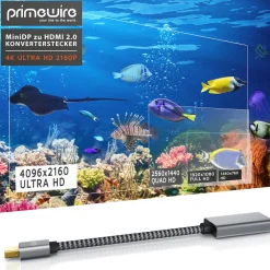 Primewire 4k Mini Displayport zu Hdmi 2.0 Adapter - mini DP Kabel - 4k@60Hz - Thunderbolt 1 - 2 - Audio und Video Online