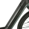 Prophete E-Bike Geniesser 4.0 City 28" Hot