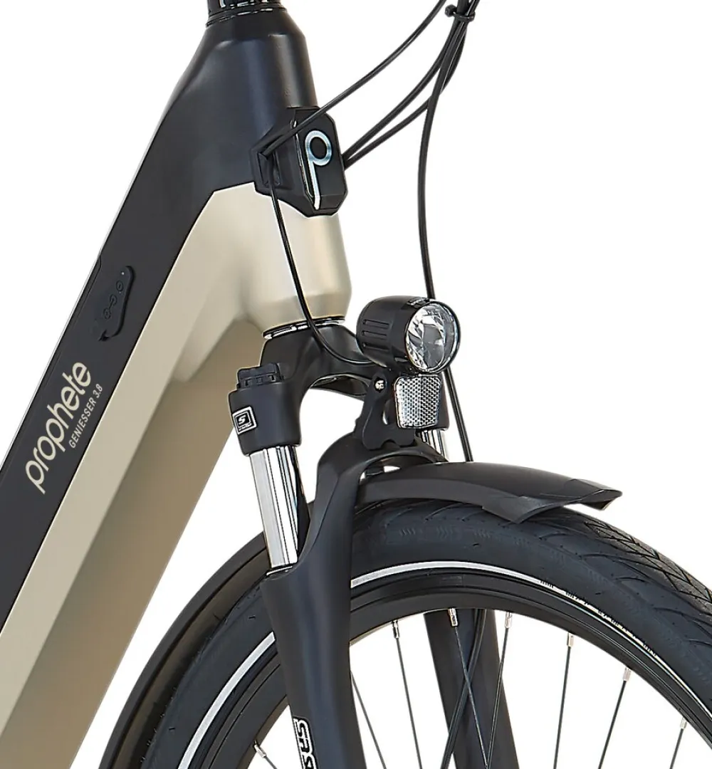 E-Bike Geniesser 3.8 RH48 ^ Prophete Discount