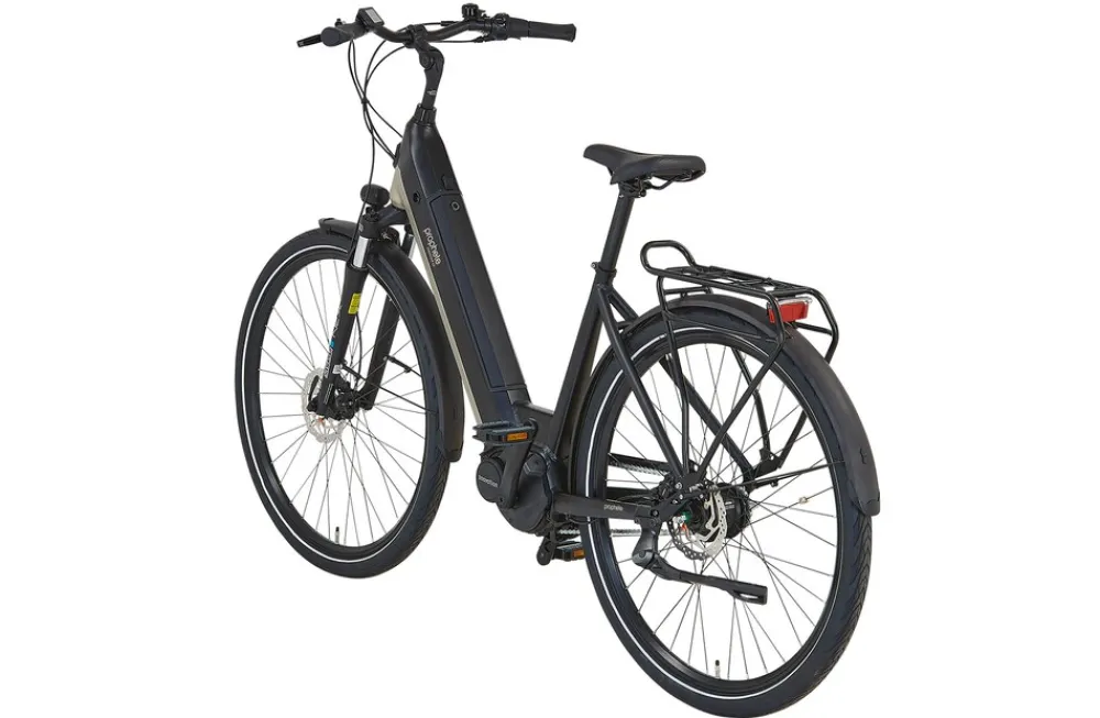 E-Bike Geniesser 3.8 RH48 ^ Prophete Discount