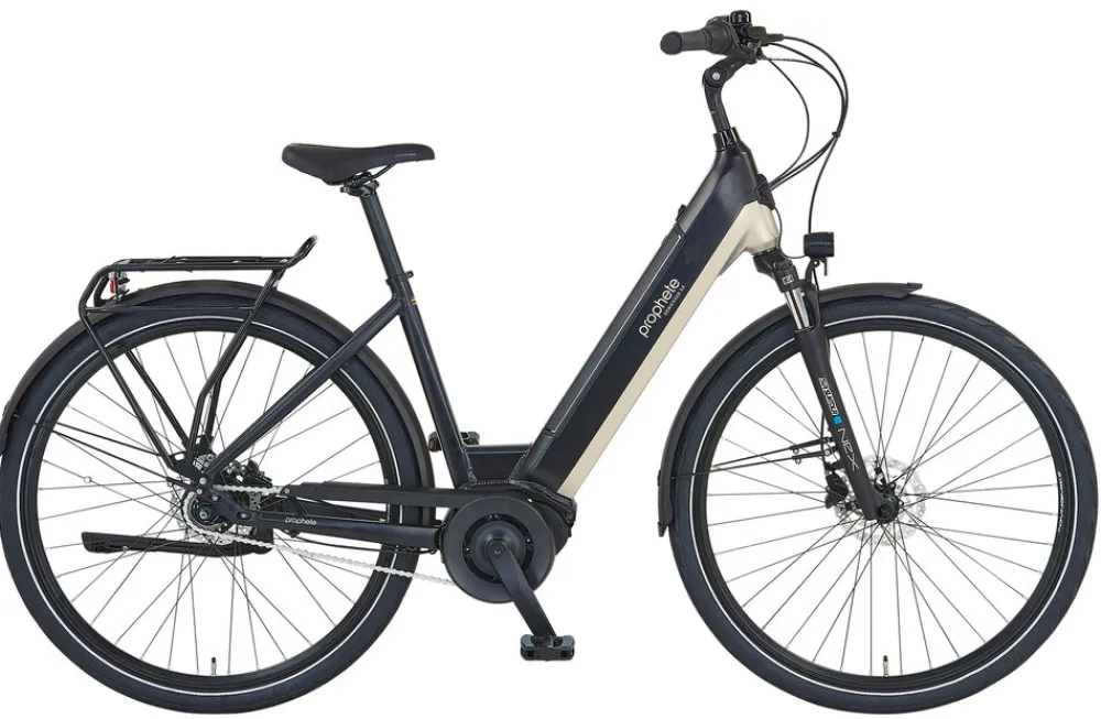 E-Bike Geniesser 3.8 RH48 ^ Prophete Discount