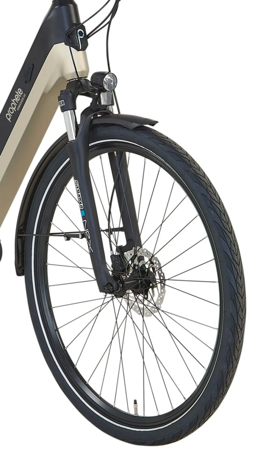 E-Bike Geniesser 3.8 RH48 ^ Prophete Discount