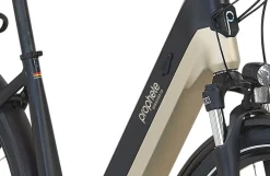 E-Bike Geniesser 3.8 RH48 ^ Prophete Discount