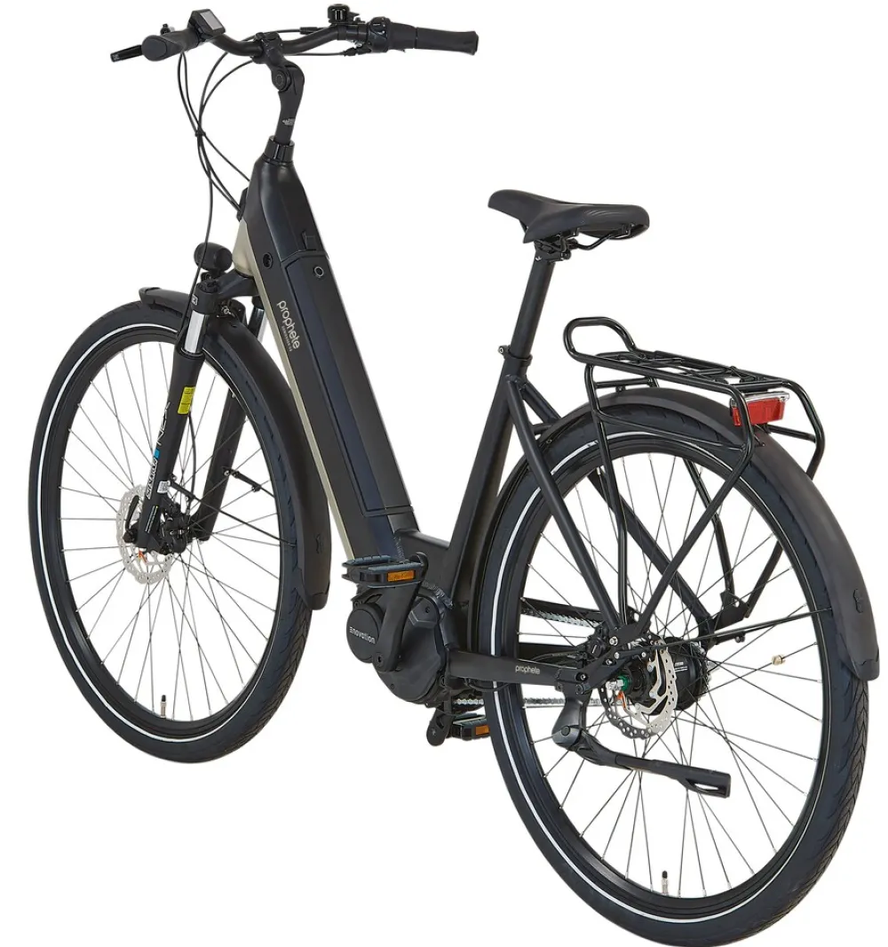 E-Bike Geniesser 3.8 RH48 ^ Prophete Discount