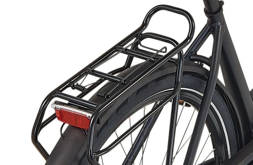 E-Bike Geniesser 3.8 RH48 ^ Prophete Discount