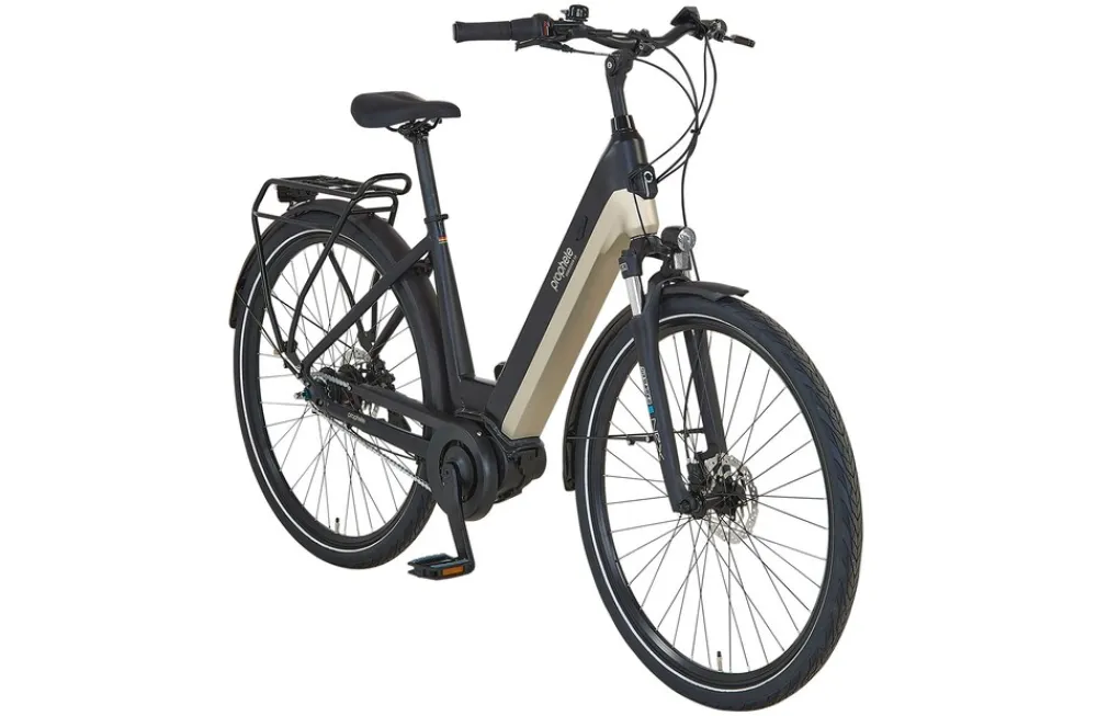 E-Bike Geniesser 3.8 RH48 ^ Prophete Discount