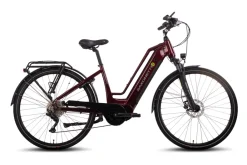 Quantum Sport Lady 10 Gang Bafang Mittelmotor Scheibenbremsen ^ Saxonette