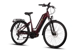 Quantum Sport Lady 10 Gang Bafang Mittelmotor Scheibenbremsen ^ Saxonette