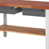 RAU Werkbank mit verstellbarer Arbeitshöhe und 2 Schubladen - versch. Größen Outlet