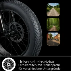 REMINGTON-Fahrrad Remington R100 E Bike Elektro Dreirad 20 Zoll Elektrodreirad mit 2 Akkus bis 120 km Pedelec City mit tiefem Einstieg klappbar schwarz/grau Best