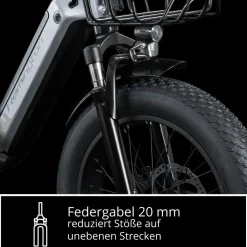 REMINGTON-Fahrrad Remington R100 E Bike Elektro Dreirad 20 Zoll Elektrodreirad mit 2 Akkus bis 120 km Pedelec City mit tiefem Einstieg klappbar schwarz/grau Best