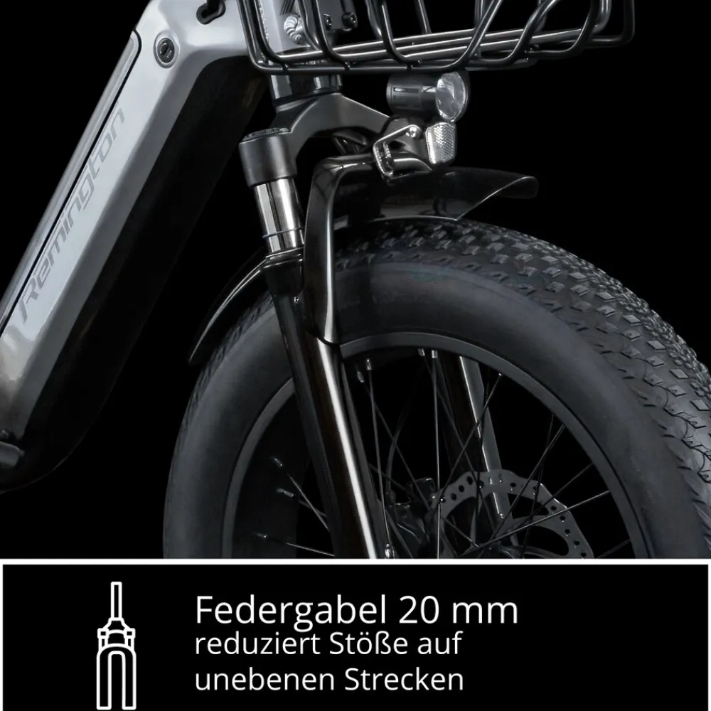 REMINGTON-Fahrrad Remington R100 E Bike Elektro Dreirad 20 Zoll Elektrodreirad mit 2 Akkus bis 120 km Pedelec City mit tiefem Einstieg klappbar schwarz/grau Best