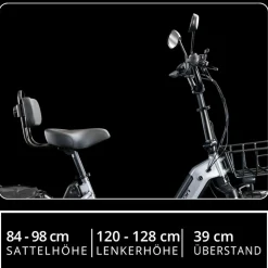REMINGTON-Fahrrad Remington R100 E Bike Elektro Dreirad 20 Zoll Elektrodreirad mit 2 Akkus bis 120 km Pedelec City mit tiefem Einstieg klappbar schwarz/grau Best