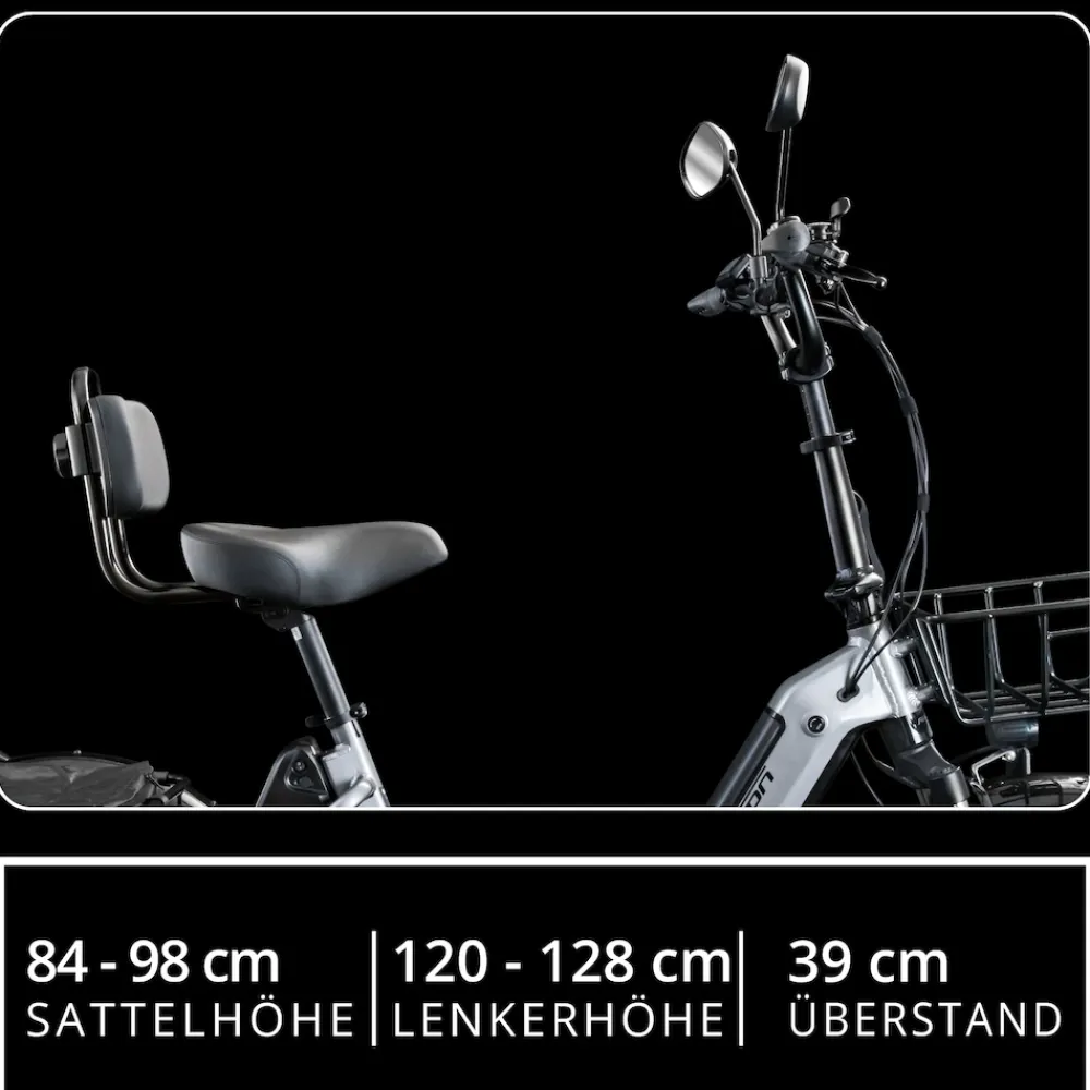 REMINGTON-Fahrrad Remington R100 E Bike Elektro Dreirad 20 Zoll Elektrodreirad mit 2 Akkus bis 120 km Pedelec City mit tiefem Einstieg klappbar schwarz/grau Best