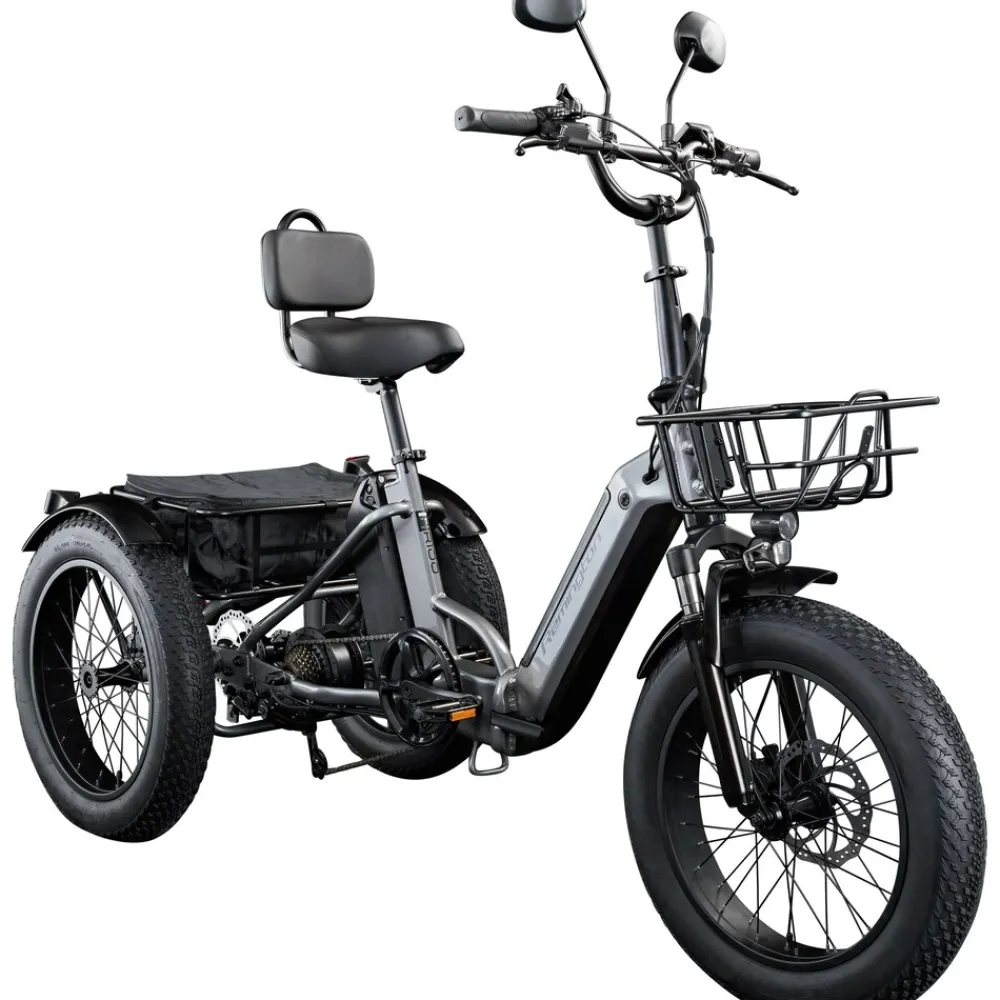 REMINGTON-Fahrrad Remington R100 E Bike Elektro Dreirad 20 Zoll Elektrodreirad mit 2 Akkus bis 120 km Pedelec City mit tiefem Einstieg klappbar schwarz/grau Best