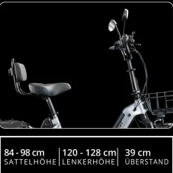REMINGTON-Fahrrad Remington R100 E Bike Elektro Dreirad 20 Zoll Elektrodreirad mit 2 Akkus bis 120 km Pedelec City mit tiefem Einstieg klappbar schwarz/grau Best