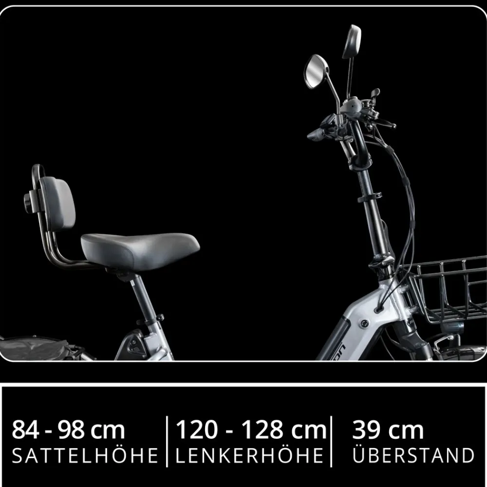 REMINGTON-Fahrrad Remington R100 E Bike Elektro Dreirad 20 Zoll Elektrodreirad mit 2 Akkus bis 120 km Pedelec City mit tiefem Einstieg klappbar schwarz/grau Best