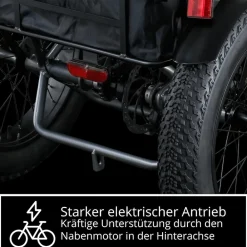 REMINGTON-Fahrrad Remington R100 E Bike Elektro Dreirad 20 Zoll Elektrodreirad mit 2 Akkus bis 120 km Pedelec City mit tiefem Einstieg klappbar schwarz/grau Best