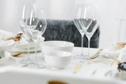 Einsteiger-Set Skagen 16er Set ^ Ritzenhoff & Breker Best