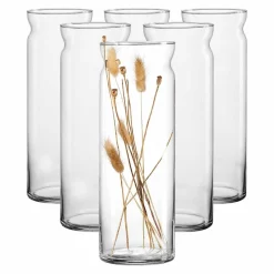 Ritzenhoff & Breker Vasen Dalia 35 cm 6er Set transparent New
