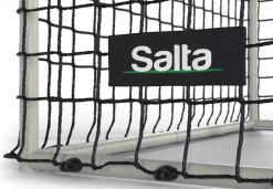 Fußballtor Champion ^ salta